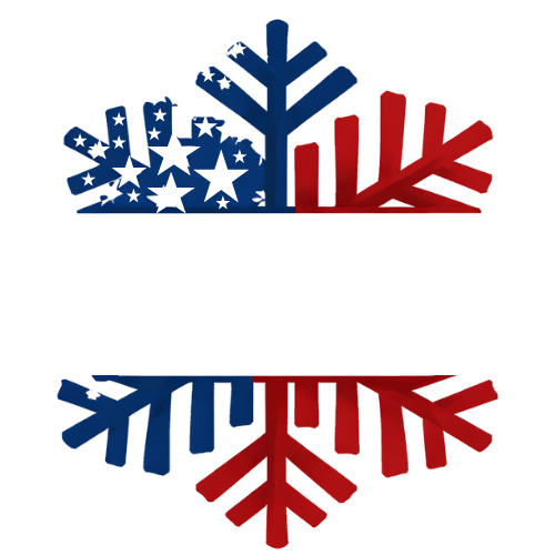 USA Panels Logo